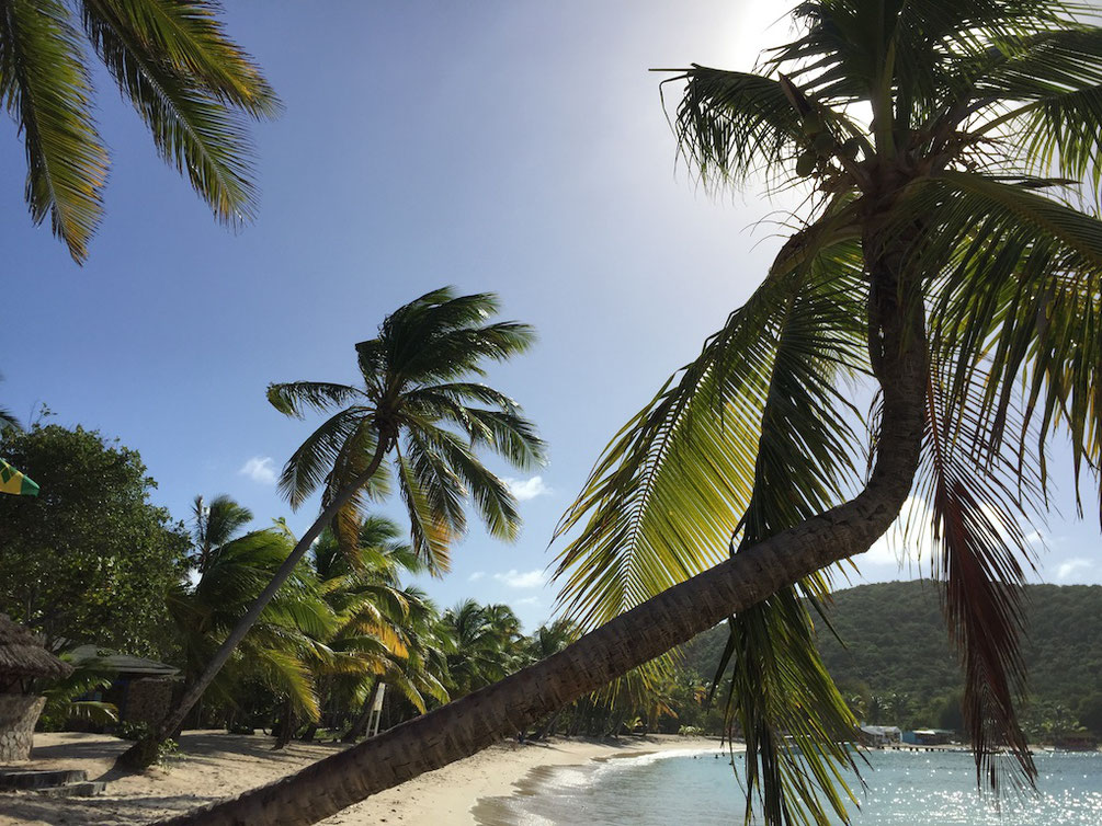 Salt Whistle Bay, Mayreau