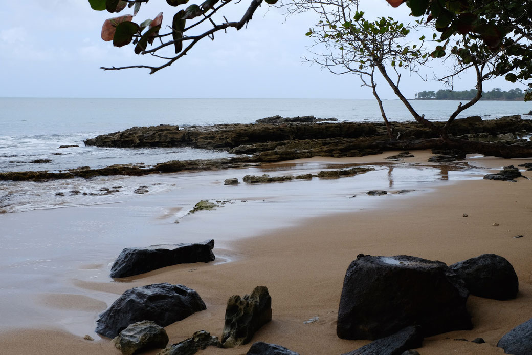 Strand an der Nordseite von Guadeloupe