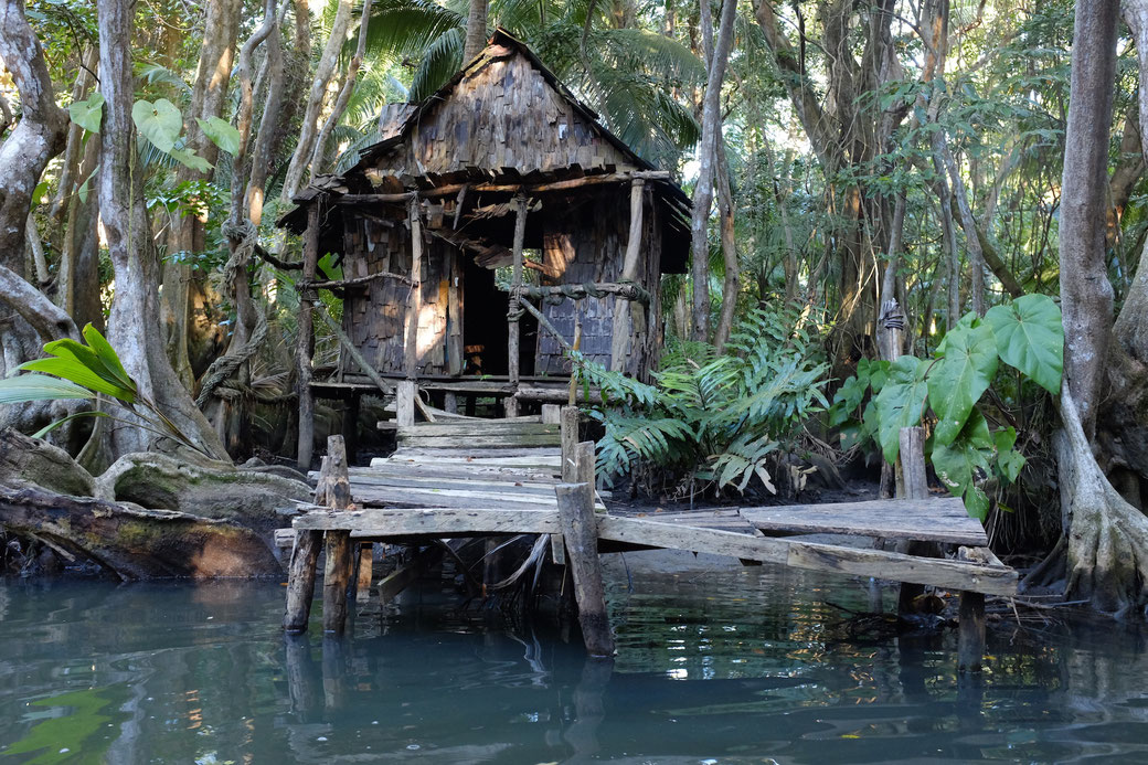 Calypso Hut am Indian River