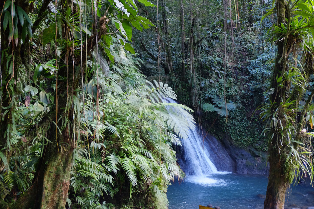 Wasserfall "Cascade aux Ecrevisses" im Parc National