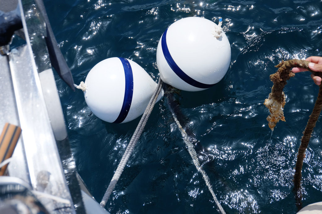 Rechts die zerrissene Leine, die unsere Boje am Grundgeschirr befestigte. Und wie man sieht, bekneift unsere Leine die zufällig erfasste Boje (links) so, dass unser Boot erst einmal fest liegt. Schade, wird jetzt nichts mehr mit dem Lottogewinn...