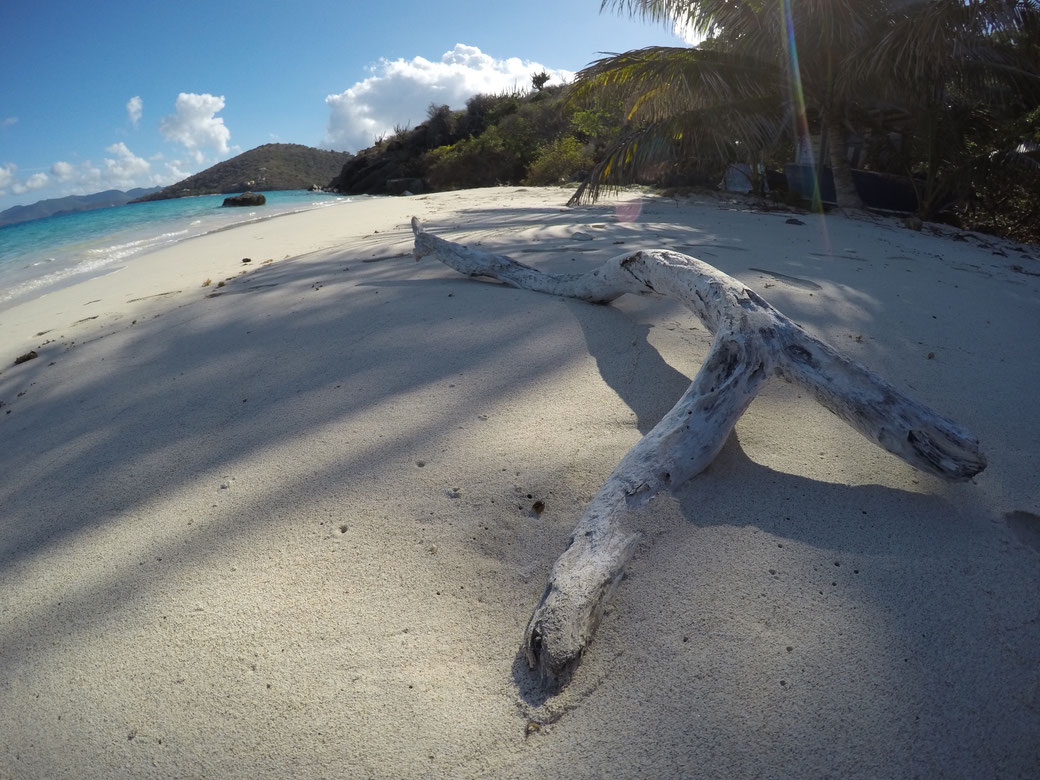 Treibholz an unserem "Privatstrand" vor Green Cay