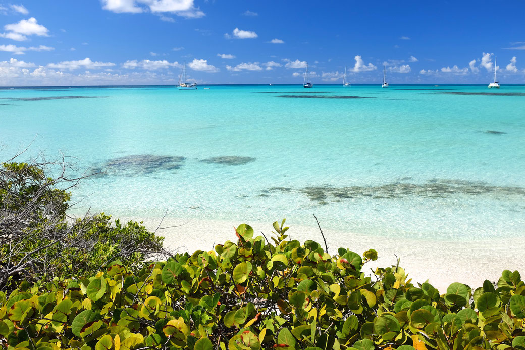 White Bay