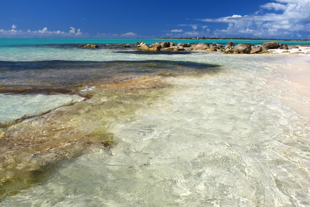 Strand von White Bay