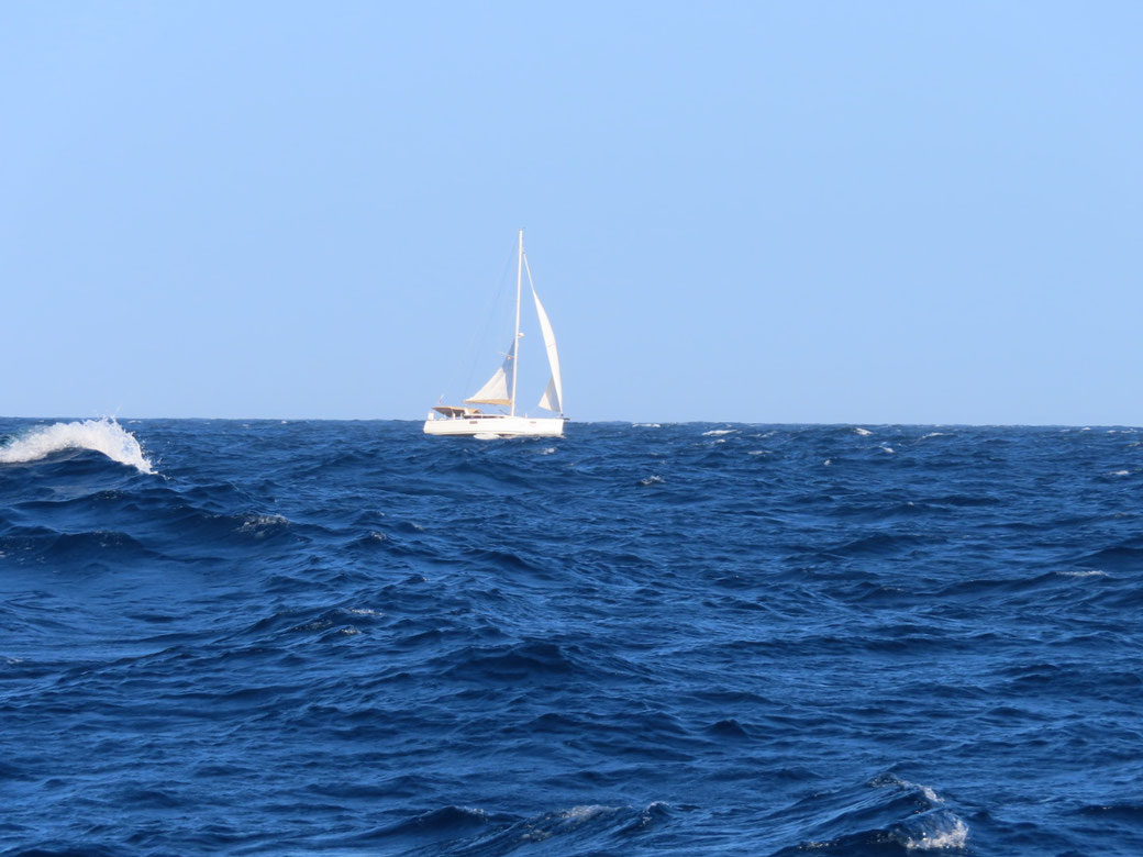 Entropy auf Überfahrt - von der sea magix aus gesehen