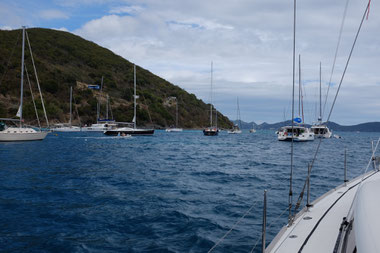Bojenfeld von Great Harbour